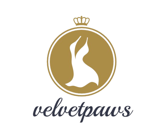 VelvetPaws Fashion
